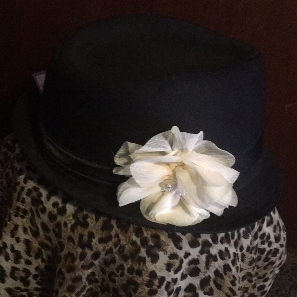 Hat - Picture 2 of 4